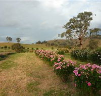 Damasque Rose Oil Farm - Hotel Accommodation