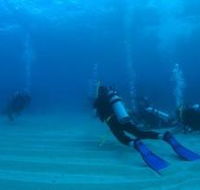 Man and Wife Rocks Dive Site - Hotel Accommodation
