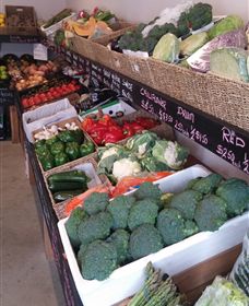 Farmers Harvest - Hotel Accommodation 1