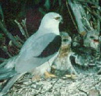 Bushy Park Wetlands - Hotel Accommodation