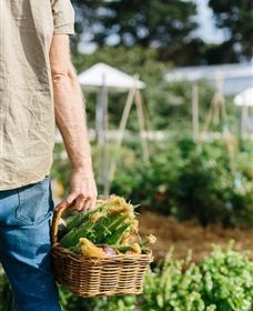 Kiltynane Wines - Hotel Accommodation 6