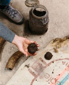 Kiltynane Wines - Hotel Accommodation 7