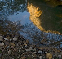 Abercrombie Karst Conservation Reserve - Hotel Accommodation