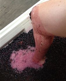 Billy Button Wines - Hotel Accommodation 1