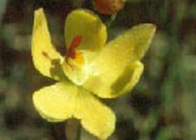 Langwarrin Flora And Fauna Reserve - Hotel Accommodation 0