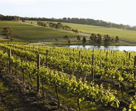 Yabby Lake Vineyard & Cellar Door - Hotel Accommodation 7