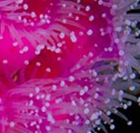 Yaringa Marine National Park - Hotel Accommodation