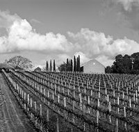 Willow Creek Vineyard - Hotel Accommodation