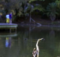 Birdwatching in the South Burnett - Hotel Accommodation