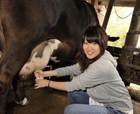 Warrook Farm - Hotel Accommodation 2