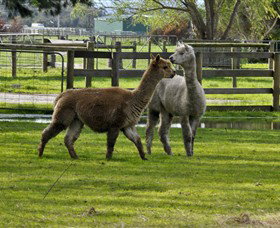 Warrook Farm - Hotel Accommodation 6