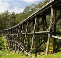 Noojee Trestle Bridge - Hotel Accommodation
