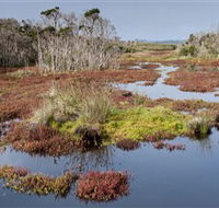 French Island National Park - Hotel Accommodation