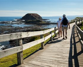 Phillip Island Nature Parks - Hotel Accommodation 3
