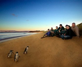 Phillip Island Nature Parks - Hotel Accommodation 7