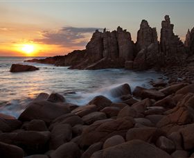 Phillip Island Nature Parks - Hotel Accommodation 6