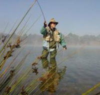 Lake Wallace - Hotel Accommodation