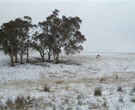 Crookwell Wind Farm - Hotel Accommodation 2