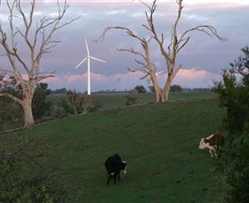 Crookwell Wind Farm - Hotel Accommodation 1