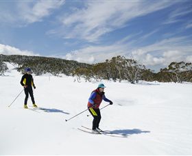 Mt Baw Baw Alpine Resort - Hotel Accommodation 2