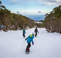 Mt Baw Baw Alpine Resort - Hotel Accommodation