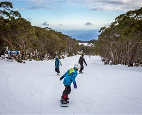 Mt Baw Baw Alpine Resort - Hotel Accommodation 0