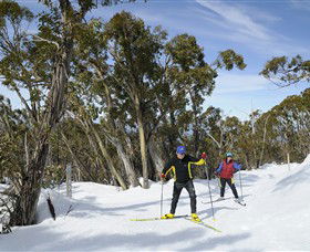 Mt Baw Baw Alpine Resort - Hotel Accommodation 4