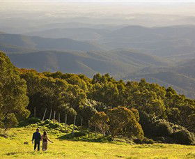 Mt Baw Baw Alpine Resort - Hotel Accommodation 6