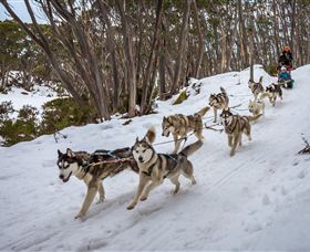 Mt Baw Baw Alpine Resort - Hotel Accommodation 5