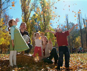 Cotter Avenue Recreation Area - Hotel Accommodation 0