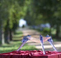 Lillico Glass Studio - Hotel Accommodation