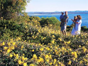 Joseph Banks Conservation Park - Hotel Accommodation 0