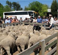 Gold Creek Station - Hotel Accommodation