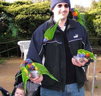 Canberra Walk In Aviary - Hotel Accommodation