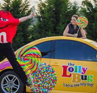 The Lolly Bug - Hotel Accommodation
