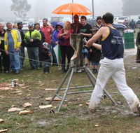 Lockyers Road Walking Track - Hotel Accommodation