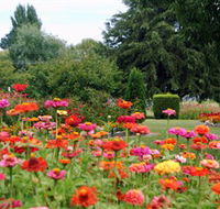 Alma Park - Hotel Accommodation