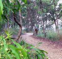 Mount Mutton Walking Trail - Hotel Accommodation