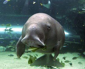 SEA LIFE Sydney Aquarium - Hotel Accommodation 1