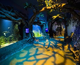 SEA LIFE Sydney Aquarium - Hotel Accommodation 2