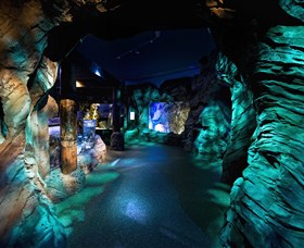 SEA LIFE Sydney Aquarium - Hotel Accommodation 3