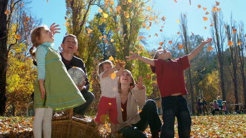 Cotter Avenue Recreation Area - Hotel Accommodation 3