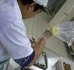 Fremantle Chocolate Pty ltd - Hotel Accommodation