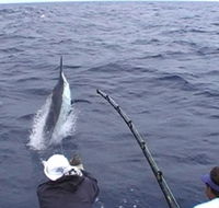 Amokura Charters - Hotel Accommodation