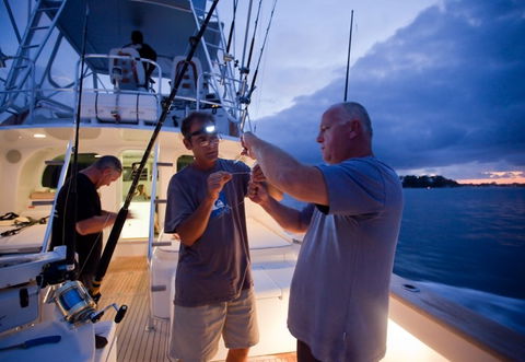 Amokura Charters - Hotel Accommodation 1