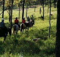 Hunter Valley Horse Riding and Adventures - Hotel Accommodation