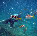 Imagine Cruises - Hotel Accommodation