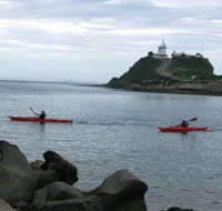Newcastle Kayak Tours - Hotel Accommodation