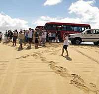 Port Stephens 4WD Tours - Hotel Accommodation