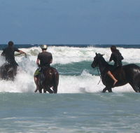 Pegasus Park Equestrian Centre - Hotel Accommodation